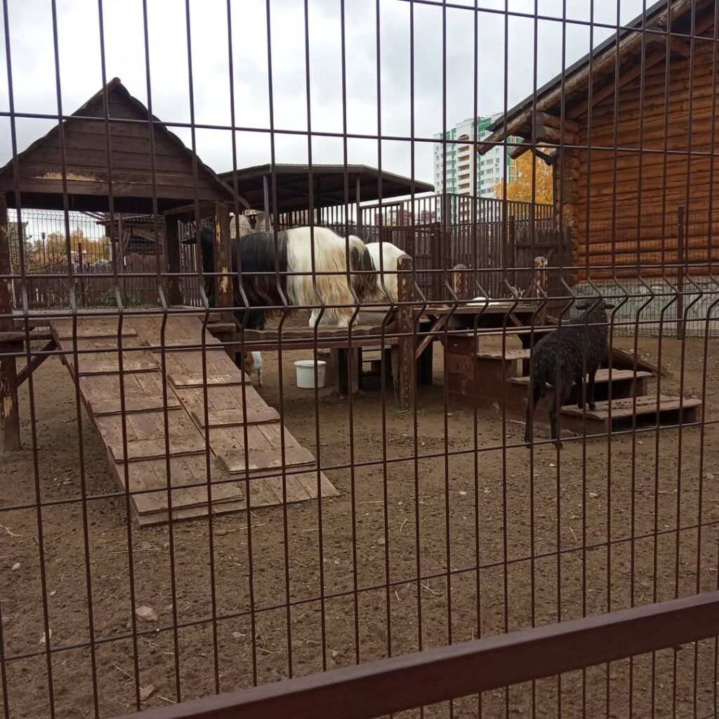 Зоопарк