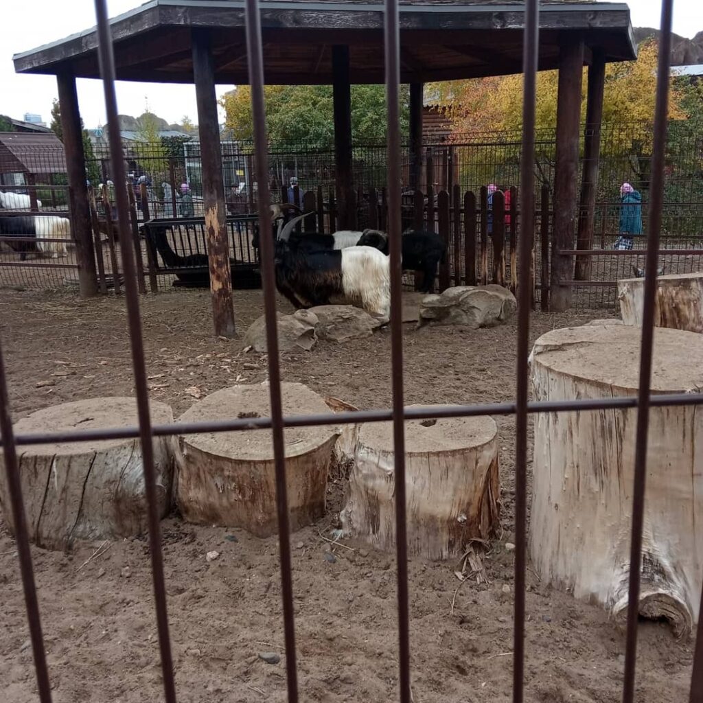Зоопарк