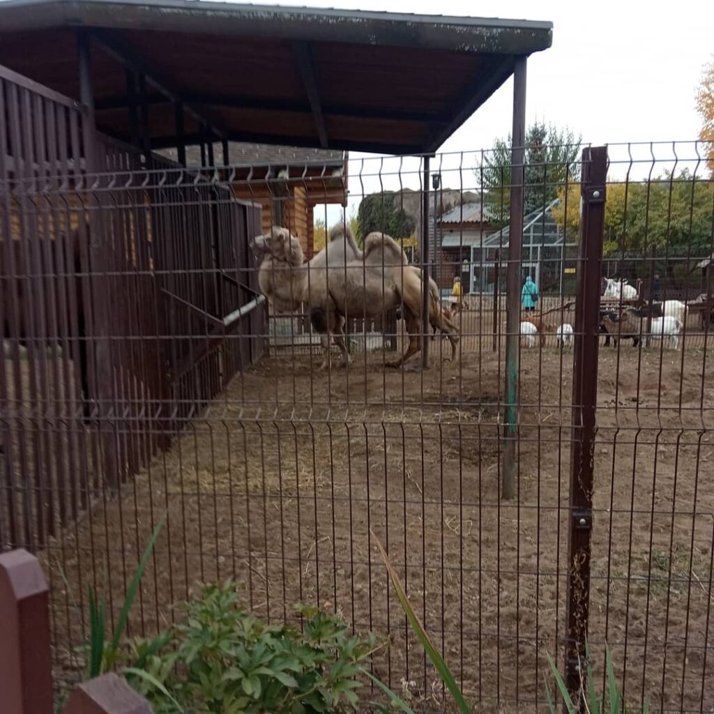 Зоопарк
