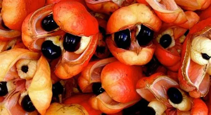 Экзотика: Аки